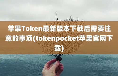 苹果Token最新版本下载后需要注意的事项(tokenpocket苹果官网下载)