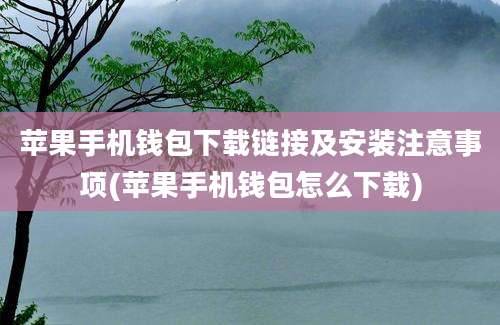 苹果手机钱包下载链接及安装注意事项(苹果手机钱包怎么下载)