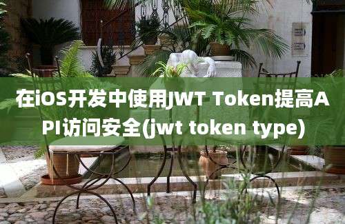 在iOS开发中使用JWT Token提高API访问安全(jwt token type)