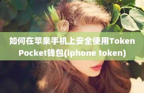 如何在苹果手机上安全使用TokenPocket钱包(iphone token)