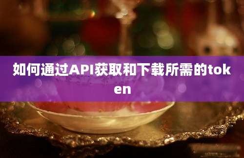 如何通过API获取和下载所需的token