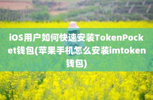 iOS用户如何快速安装TokenPocket钱包(苹果手机怎么安装imtoken钱包)