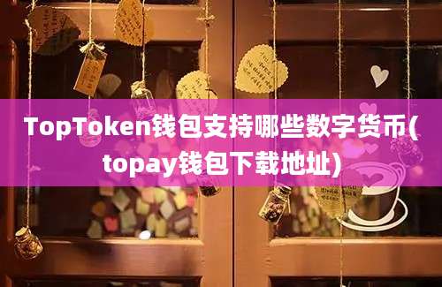 TopToken钱包支持哪些数字货币(topay钱包下载地址)