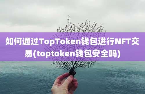 如何通过TopToken钱包进行NFT交易(toptoken钱包安全吗)