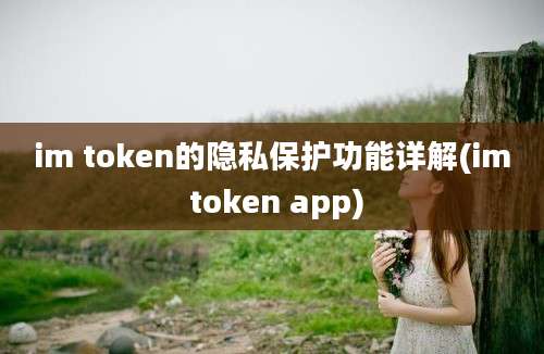 im token的隐私保护功能详解(im token app)