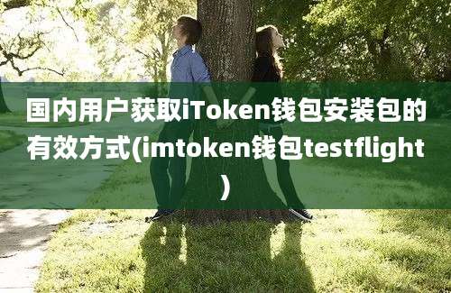 国内用户获取iToken钱包安装包的有效方式(imtoken钱包testflight)