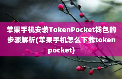 苹果手机安装TokenPocket钱包的步骤解析(苹果手机怎么下载tokenpocket)