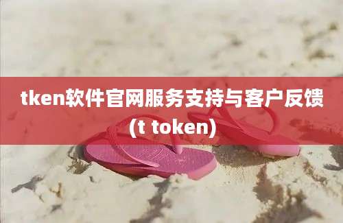 tken软件官网服务支持与客户反馈(t token)