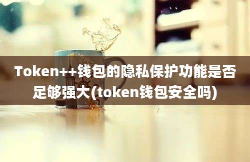 Token++钱包的隐私保护功能是否足够强大(token钱包安全吗)