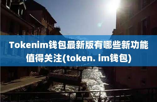 Tokenim钱包最新版有哪些新功能值得关注(token. im钱包)