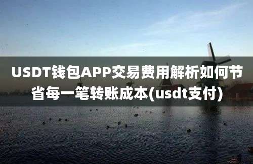 USDT钱包APP交易费用解析如何节省每一笔转账成本(usdt支付)