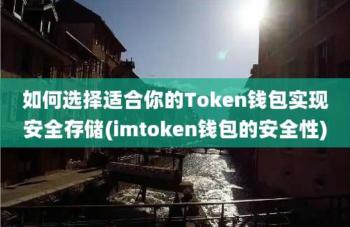 如何选择适合你的Token钱包实现安全存储(imtoken钱包的安全性)