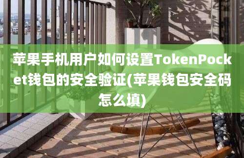 苹果手机用户如何设置TokenPocket钱包的安全验证(苹果钱包安全码怎么填)