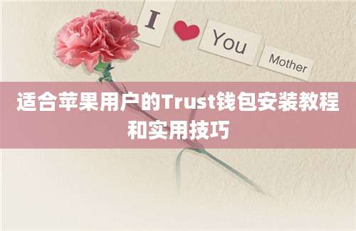 适合苹果用户的Trust钱包安装教程和实用技巧