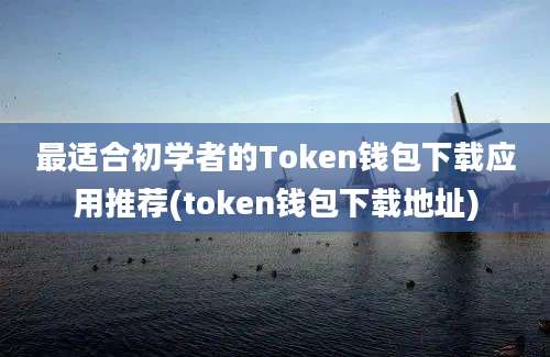 最适合初学者的Token钱包下载应用推荐(token钱包下载地址)