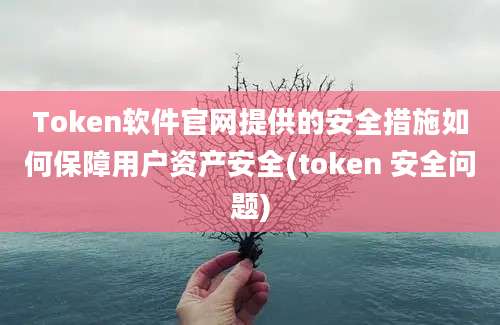 Token软件官网提供的安全措施如何保障用户资产安全(token 安全问题)