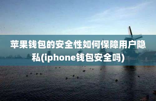 苹果钱包的安全性如何保障用户隐私(iphone钱包安全吗)