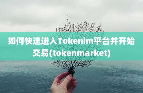 如何快速进入Tokenim平台并开始交易(tokenmarket)