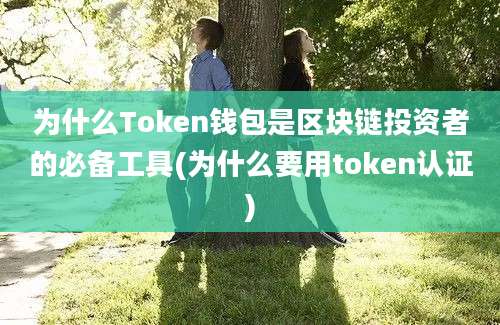 为什么Token钱包是区块链投资者的必备工具(为什么要用token认证)