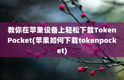 教你在苹果设备上轻松下载TokenPocket(苹果如何下载tokenpocket)