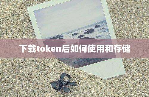 下载token后如何使用和存储