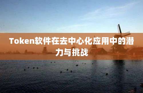 Token软件在去中心化应用中的潜力与挑战