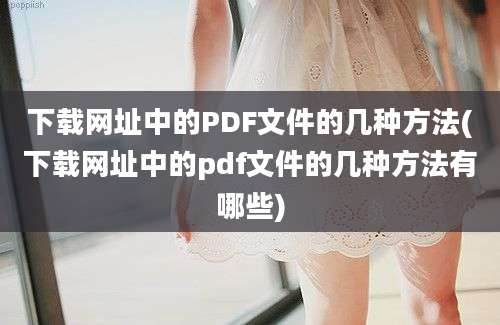 下载网址中的PDF文件的几种方法(下载网址中的pdf文件的几种方法有哪些)