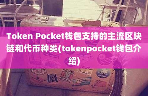 Token Pocket钱包支持的主流区块链和代币种类(tokenpocket钱包介绍)