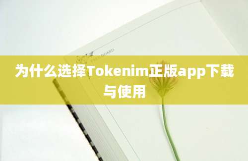 为什么选择Tokenim正版app下载与使用