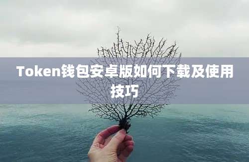 Token钱包安卓版如何下载及使用技巧