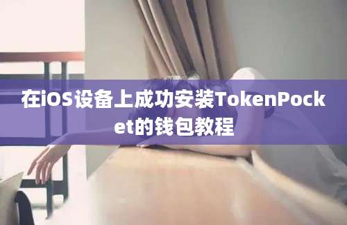 在iOS设备上成功安装TokenPocket的钱包教程