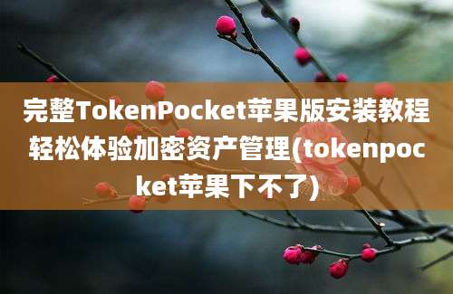 完整TokenPocket苹果版安装教程轻松体验加密资产管理(tokenpocket苹果下不了)