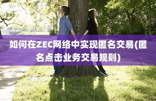 如何在ZEC网络中实现匿名交易(匿名点击业务交易规则)