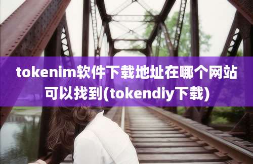 tokenim软件下载地址在哪个网站可以找到(tokendiy下载)