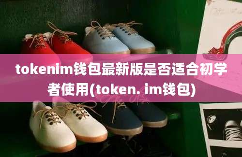 tokenim钱包最新版是否适合初学者使用(token. im钱包)