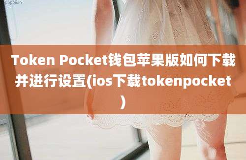 Token Pocket钱包苹果版如何下载并进行设置(ios下载tokenpocket)