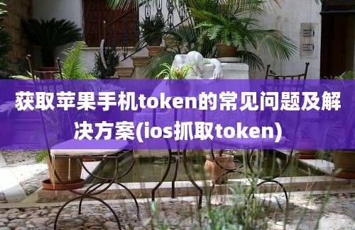 获取苹果手机token的常见问题及解决方案(ios抓取token)