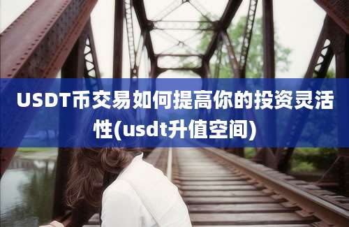 USDT币交易如何提高你的投资灵活性(usdt升值空间)