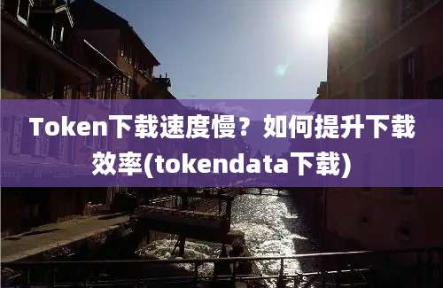 Token下载速度慢？如何提升下载效率(tokendata下载)