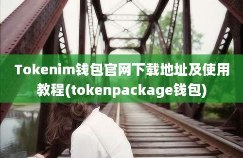 Tokenim钱包官网下载地址及使用教程(tokenpackage钱包)