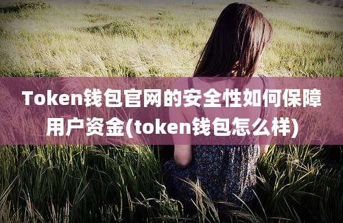 Token钱包官网的安全性如何保障用户资金(token钱包怎么样)