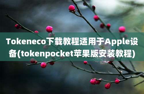 Tokeneco下载教程适用于Apple设备(tokenpocket苹果版安装教程)