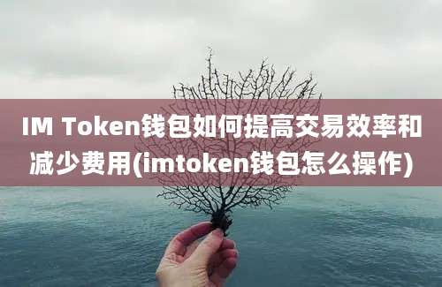 IM Token钱包如何提高交易效率和减少费用(imtoken钱包怎么操作)