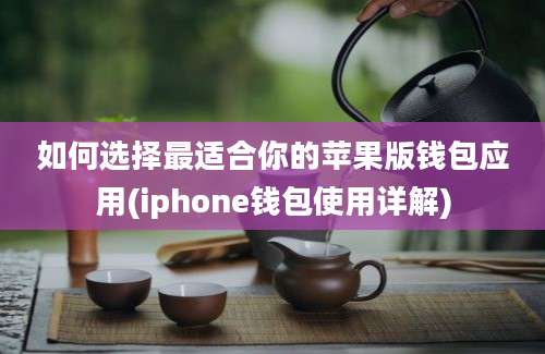 如何选择最适合你的苹果版钱包应用(iphone钱包使用详解)