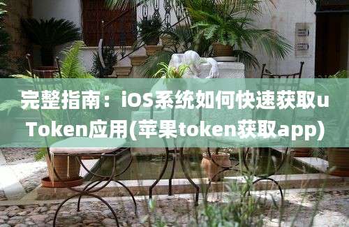 完整指南：iOS系统如何快速获取uToken应用(苹果token获取app)