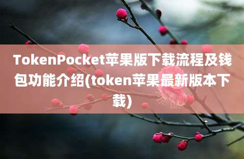 TokenPocket苹果版下载流程及钱包功能介绍(token苹果最新版本下载)