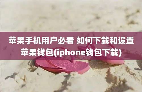 苹果手机用户必看 如何下载和设置苹果钱包(iphone钱包下载)