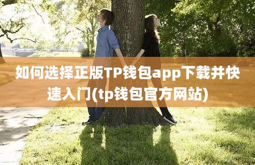 如何选择正版TP钱包app下载并快速入门(tp钱包官方网站)