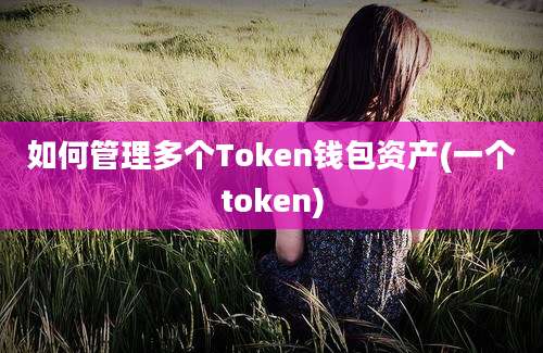 如何管理多个Token钱包资产(一个token)