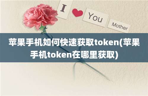 苹果手机如何快速获取token(苹果手机token在哪里获取)